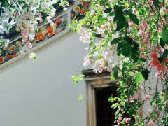 -深圳国际园林花卉博览园