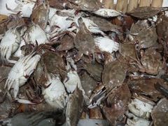 -聚盛源蒸汽海鲜火锅烤肉自助(巨川金海岸购物广场店)