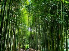 -成都杜甫草堂博物馆