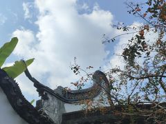 -上海醉白池公园