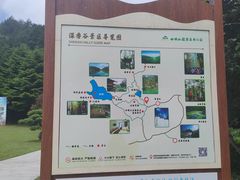 -四明山国家森林公园
