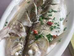 -太湖好灶头土菜馆(石公路店)