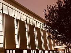 -南开大学滨海学院