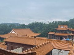 -深圳仙湖植物园