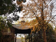 -邓愈墓
