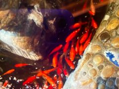 -一桶江山餐厅(松北店)