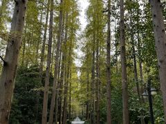 -上海怡沁园度假酒店
