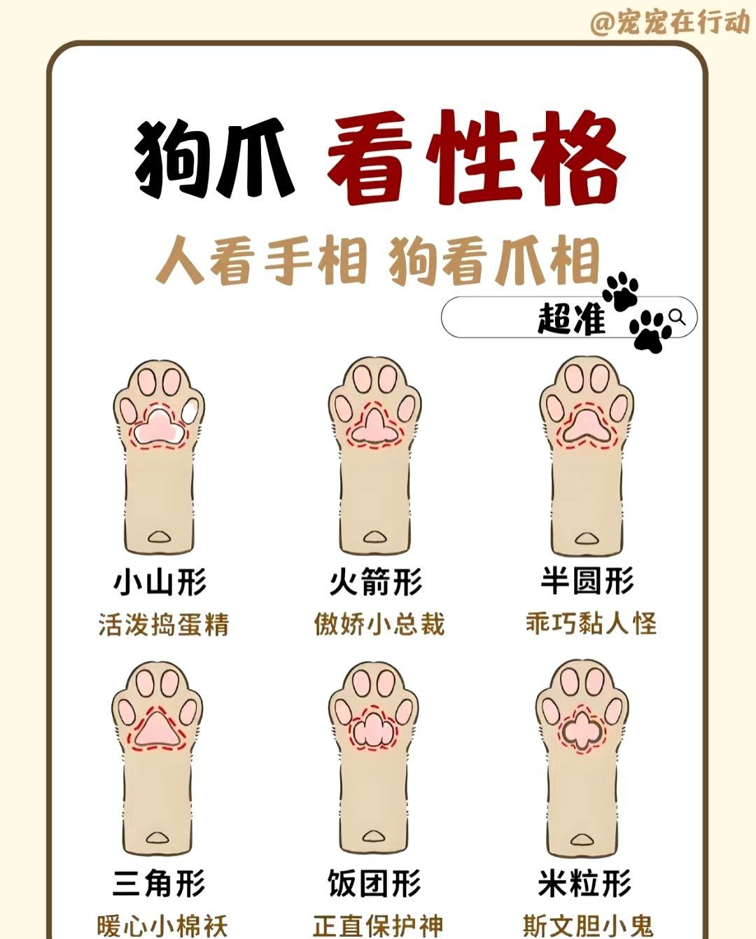 狗子爪爪看性格!