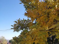 -北京西山国家森林公园