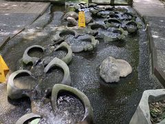-成都市活水公园