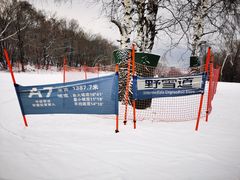 -中旅松花湖滑雪场