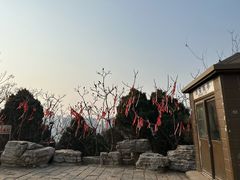 -南翠屏公园