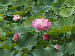 -沐仙湖湿地公园