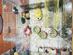 -天虹购物中心(石路店)