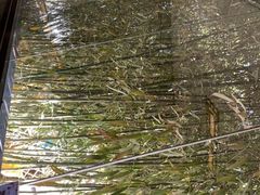 -静之湖湖畔餐厅