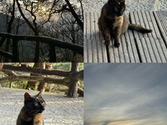 -萍乡武功山风景名胜区