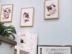 -纳吉亚猫专科动物医院博雅分院