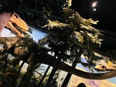-浙江自然博物院(杭州馆)