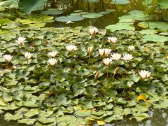 -国家植物园南园