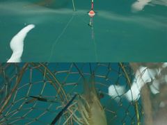 -SHRIMP CLUB万东餐饮钓虾·清吧