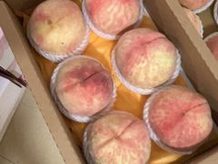 -老袁家蜜桃农场·阳山水蜜桃