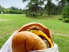 -上海共青森林公园