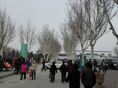 -天津市第一殡仪馆