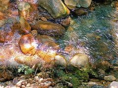 -祁门牯牛降观音堂风景区