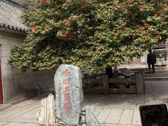 -青岛崂山太清宫