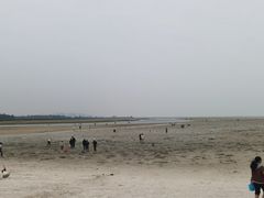 -红树林天天赶海