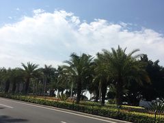 -黄金海岸环岛路