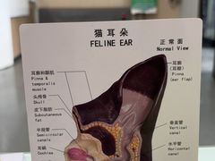 -半岛宠物医院24小时(科华中路店)