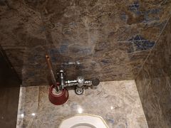 -弘安丽水温泉酒店