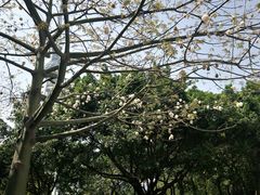 -文华公园(禅城区)