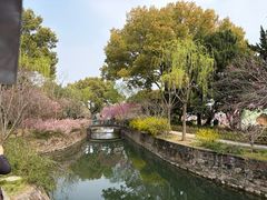 -无锡蠡湖国家湿地公园-蠡园