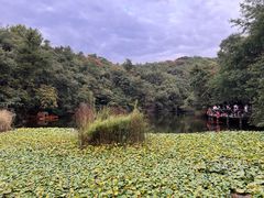 -天目湖山水园