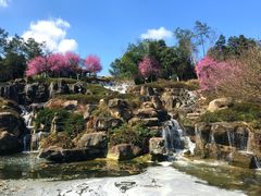 -秀丽东方