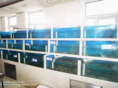 -兄弟餐厅(滨海公路店)