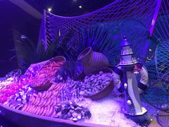 景观位-海棠湾洲际-涛·海底餐厅·美人鱼·自助餐·海底隧道