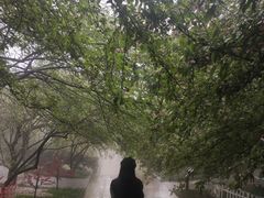 -南山植物园