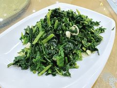 万年青-真不同饭店(老城店)