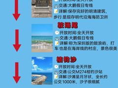 -杨梅坑