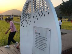 -艾米稻香小镇