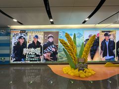 -大望路(地铁站)