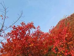 -周口店坡峰岭风景区