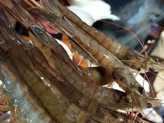 斑节虾-捞围鲜·港式打边炉(海阳路店)