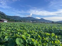 -古田会议纪念馆