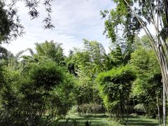 -望江楼公园