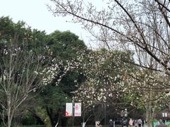-金山公园