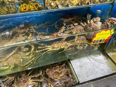 水产区-蚝专家(北滘店)